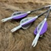 Picture of Ranch Fairy Gemini Arrows