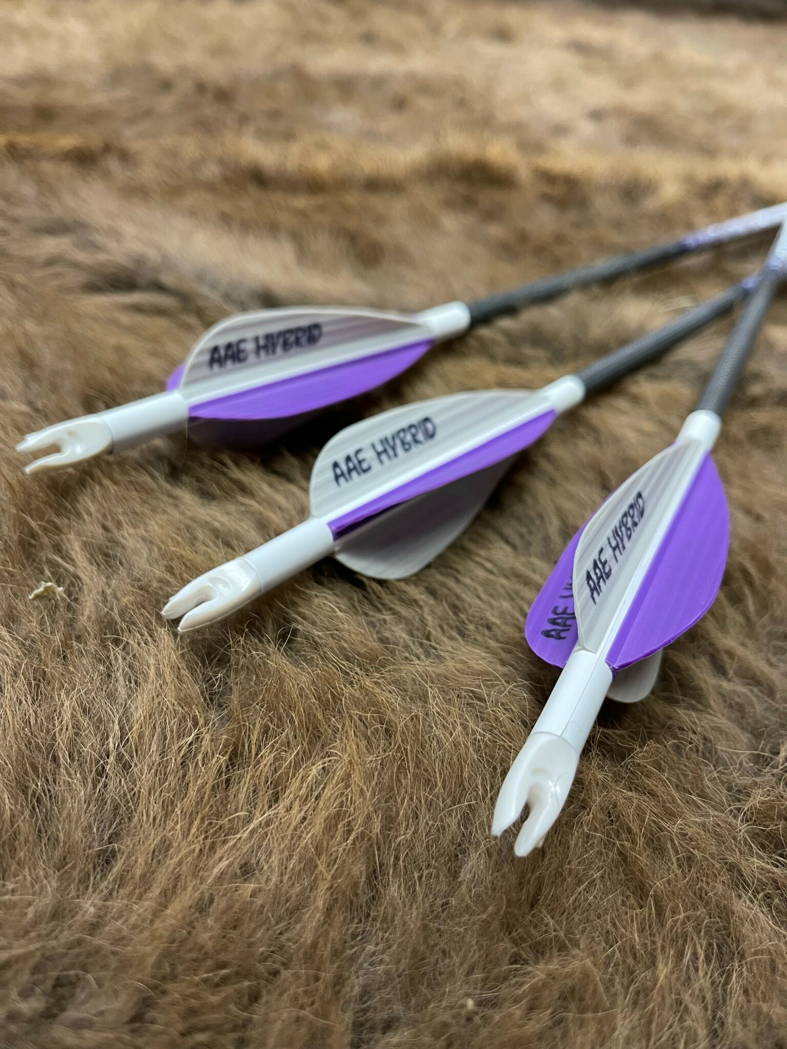 Picture of Ranch Fairy Gemini Arrows