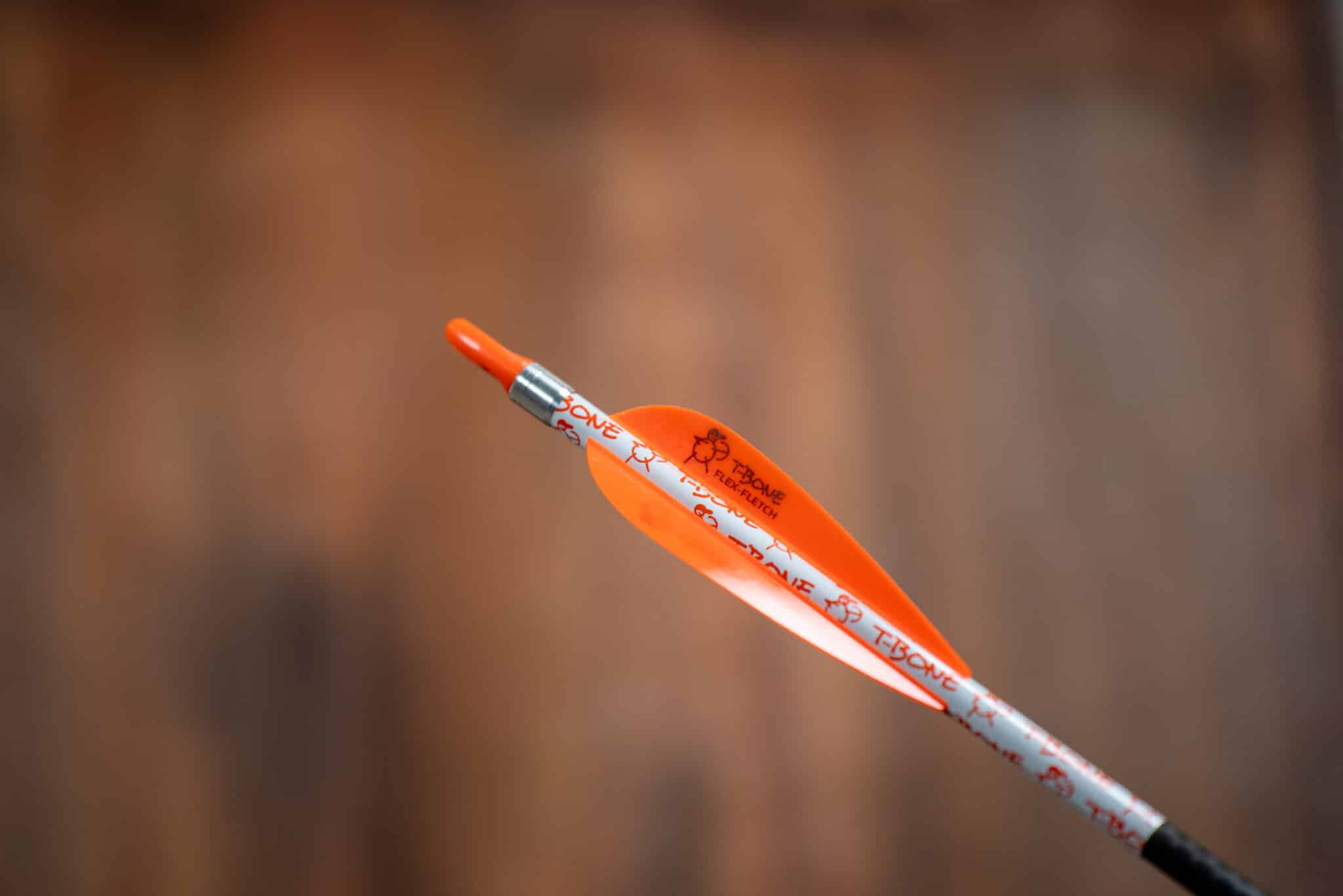 Buy Apollo Online Sirius Archery