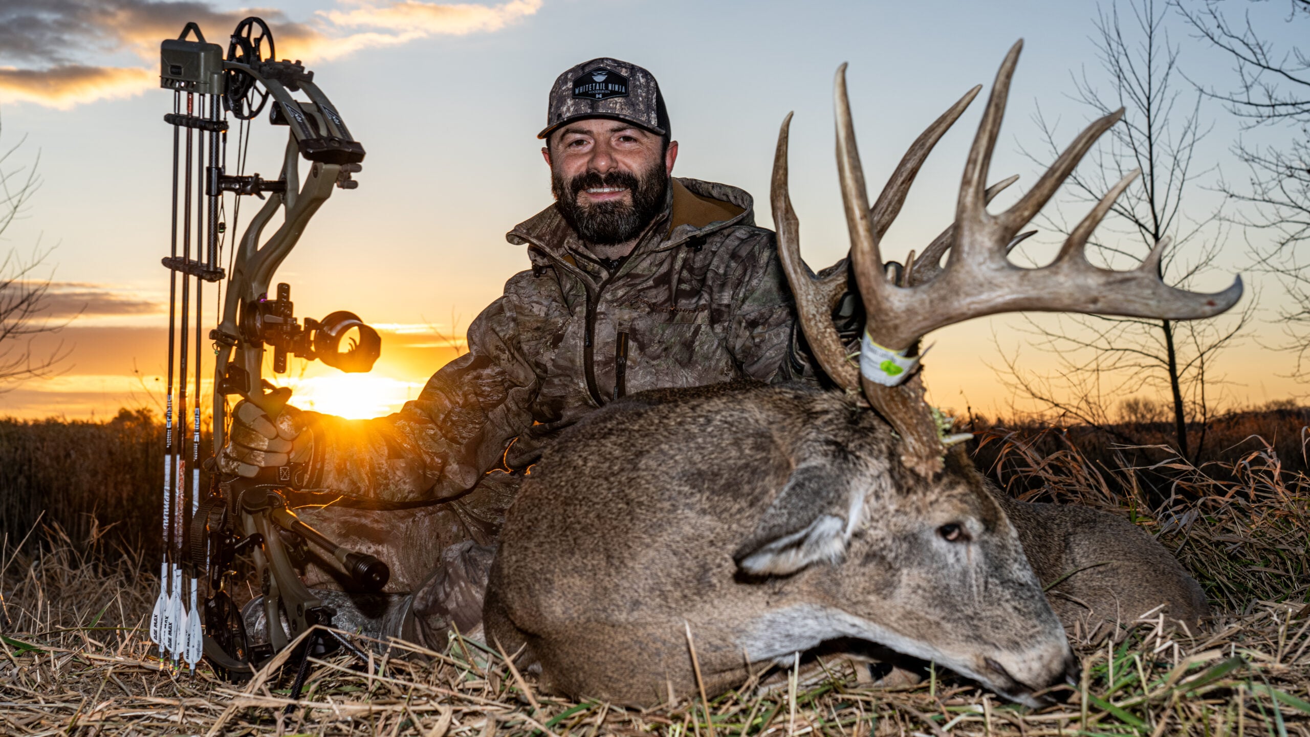 Midwest Whitetail