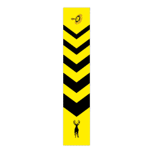 Yellow Whitetail