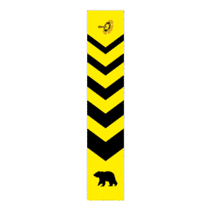 Yellow Bear