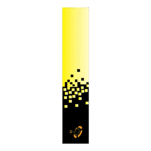 Yellow/Black