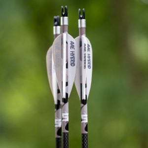 greyout2 #image_title