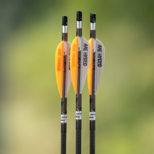 skeleton1 #image_title